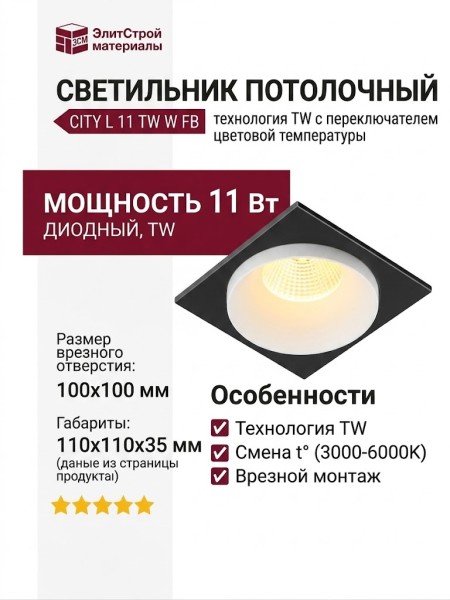 Светильник потолочный CITY L 11 TW W FB