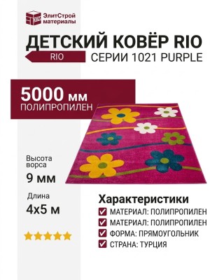 Ковер RIO 1021 purple  400x500