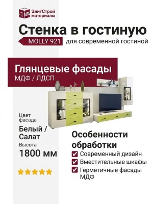 Стенка в гостиную MOLLY 921