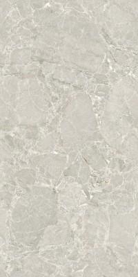 Керамогранит Maimoon DESTIL SILVER CARVING160х80