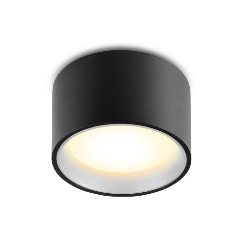 Светильник потолочный ALBA 14.30 BGr