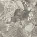 Atlas Concorde Forte Dei Marmi Apuano Pearl Lapp 80x160 610015000669