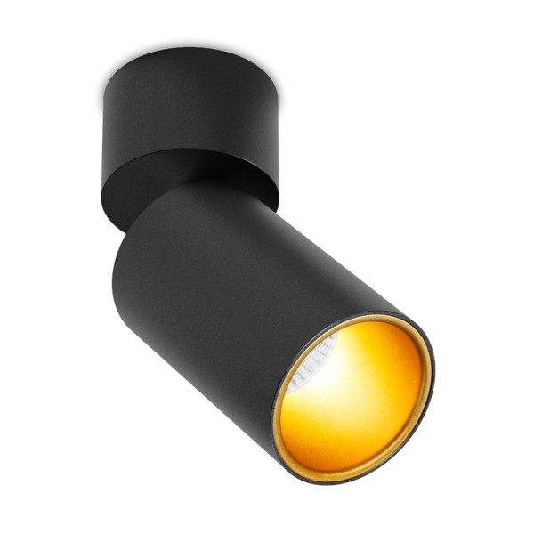 Светильник потолочный SPY N 13.40 BG DIM