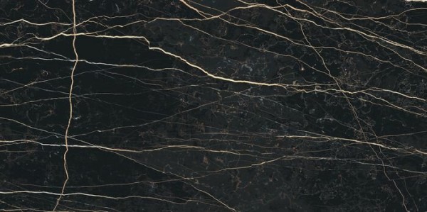 Rex Ceramiche Prexious Of Rex Thunder Night Glossy 60x120 755848