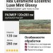 Rex Ceramiche Eccentric Luxe Mint Glossy 120x280 778825