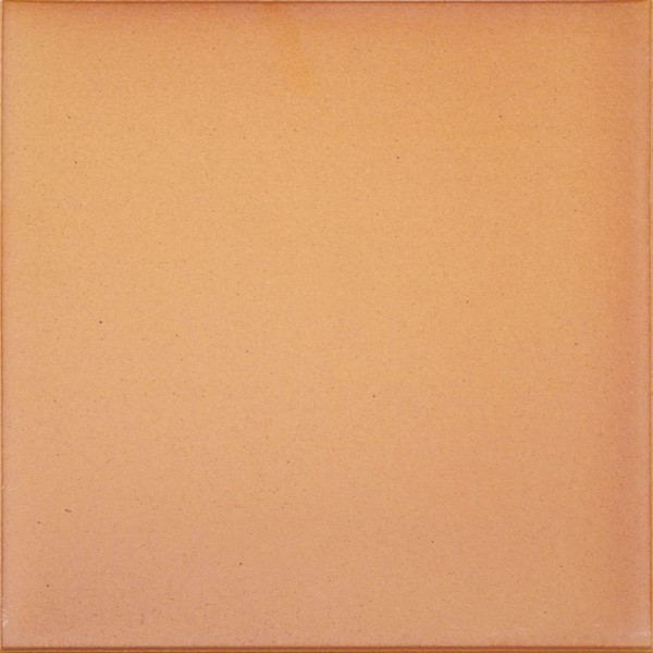 Canada Gres Natura 016 Terra 24.4x24.4