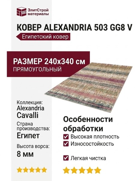 Ковер Alexandria 503 GG8 V 240x340