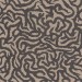 41zero42 Nok Snake Taupe 120x120 4101190