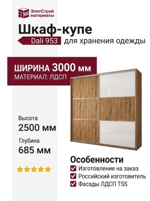 Шкаф-купе Dali 953