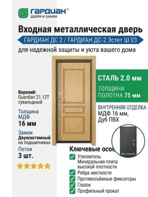 Входная металлическая дверь ДС 2  16 Эстет Ш 03
