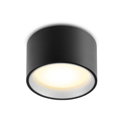 Светильник потолочный ALBA 14.30 BGR DIM