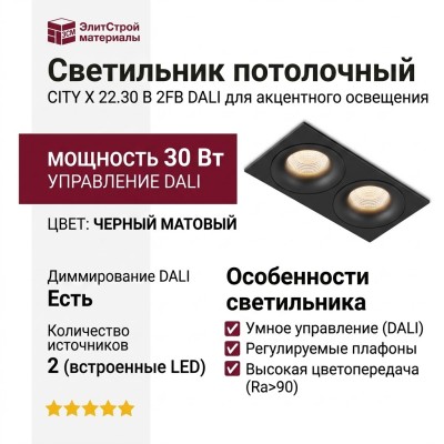 Светильник потолочный CITY X 22.30 B 2FB DALI