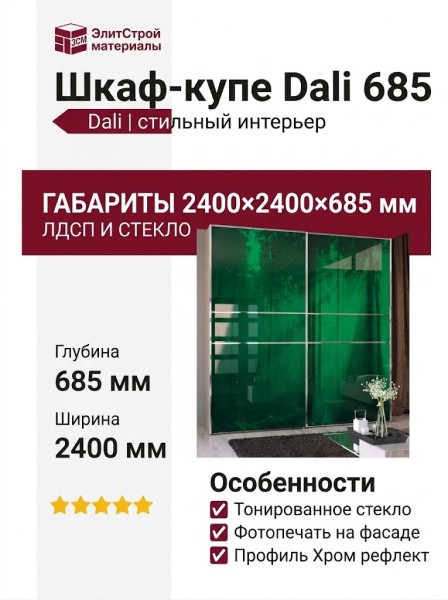 Шкаф-купе Dali 685