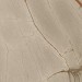 Casa Dolce Casa Nature Mood Rainforest Glossy 120x280 774717