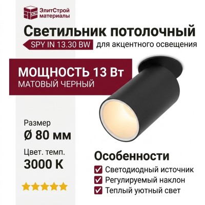 Светильник потолочный SPY IN 13.30 BW