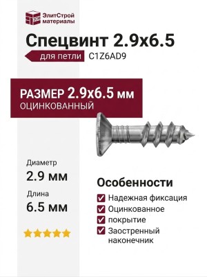 Спецвинт 2.9х6.5 для петли C1Z6AD9