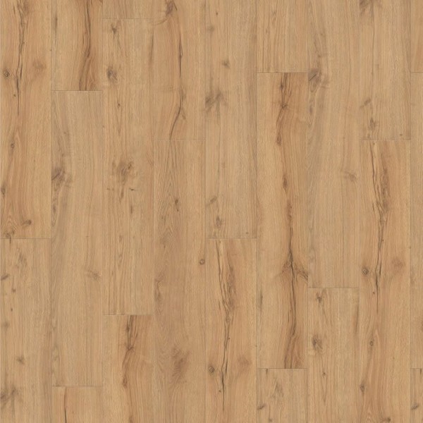 Ламинат Haro коллекция Tritty 100 Campus 4V Дуб Альпийский Натур 532063