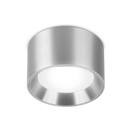 Светильник потолочный ALBA AL IP DW