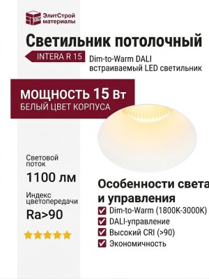 Светильник потолочный INTERA R 15 DTW W DALI