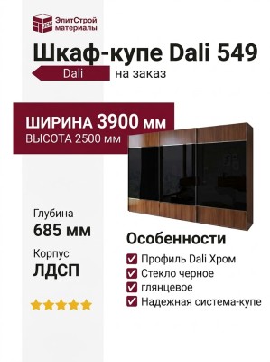 Шкаф-купе Dali 549