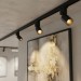 Трековый светильник 220 вольт TR SPY N 10.30 BG