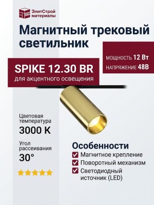 Магнитный трековый светильник SPIKE 12.30 BR
