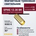 Магнитный трековый светильник SPIKE 12.30 BR