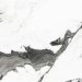 Yurtbay Marble Panda Marble White Pol Rec Gl Por Tl 60x120 P19707.6
