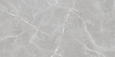 Staro Rizzi Patricia Grey Matt 60x120 УТ-00000292