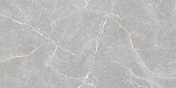 Staro Rizzi Patricia Grey Matt 60x120 УТ-00000292