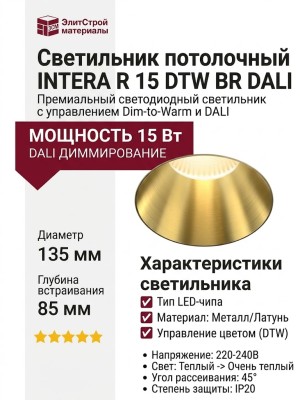 Светильник потолочный INTERA R 15 DTW BR DALI