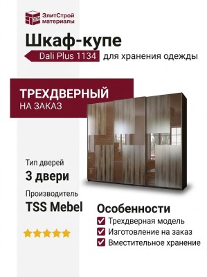 Шкаф-купе Dali Plus 1134