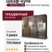 Шкаф-купе Dali Plus 1134