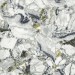 Atlas Concorde Forte Dei Marmi Quark Ceppo Apuano Forest 80x160 610010002960