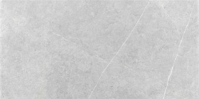 Keratile Northon Light Grey MT 60x120 CAN5NORODDKA