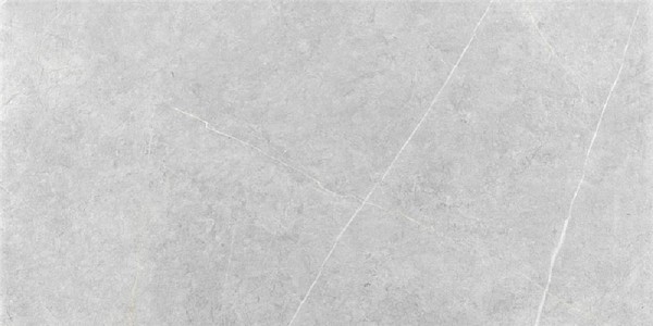 Keratile Northon Light Grey MT 60x120 CAN5NORODDKA