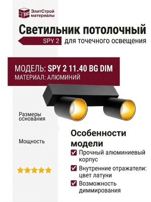 Светильник потолочный SPY 2 11.40 BG DIM