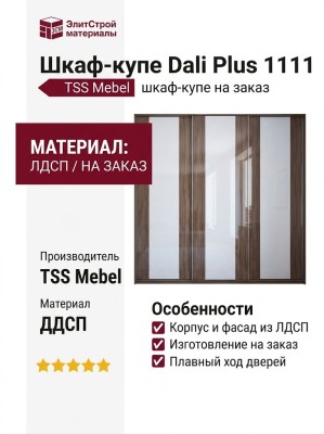 Шкаф-купе Dali Plus 1111