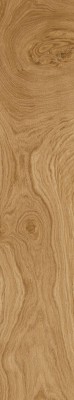 Керамогранит Maimoon SOFTWOOD CREMA 120х20