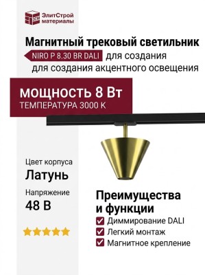 Магнитный трековый светильник NIRO P 8.30 BR DALI