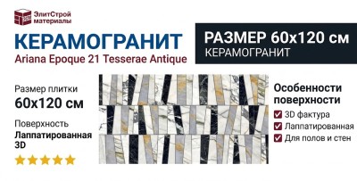 Ariana Epoque 21 Tesserae Antique Lapp. 3D 60x120 PF60009385