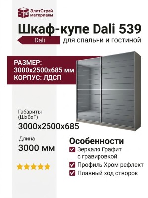 Шкаф-купе Dali 539
