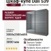 Шкаф-купе Dali 539