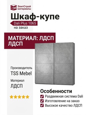Шкаф-купе Dali Plus 1065