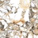 Staro Tech Polished Makarani Beige 80x240 С0004971