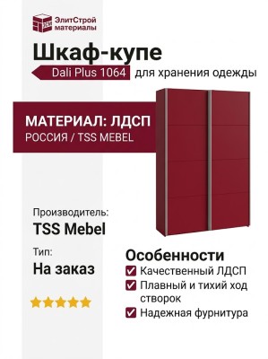 Шкаф-купе Dali Plus 1064