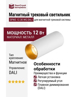 Магнитный трековый светильник SPIKE 12.30 WG DALI