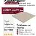 Atlas Concorde Italy Boost Natural Ash 60x60 A659