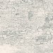 Starowood Savoy Silver White Carving 20x120 УТ-00000453