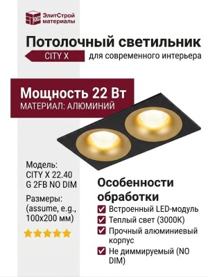 Светильник потолочный CITY X 22.40 G 2FB NO DIM